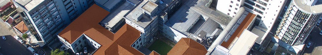 CRISTINE PILATI PILEGGI CASTRO