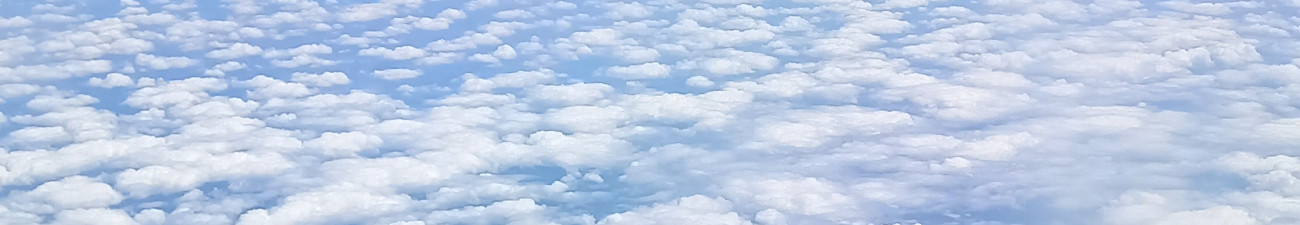 Roberta dos Santos Cohen