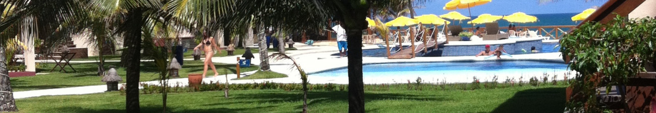 Ana Paula Silva de Souza